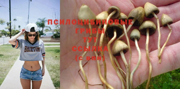 бутик Белокуриха