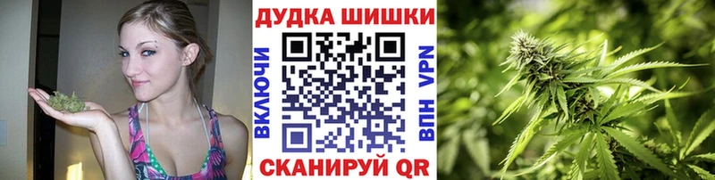 Бошки марихуана ГИДРОПОН  Кузнецк 